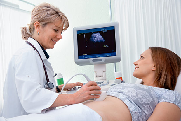 Ultrasound 7553810 M